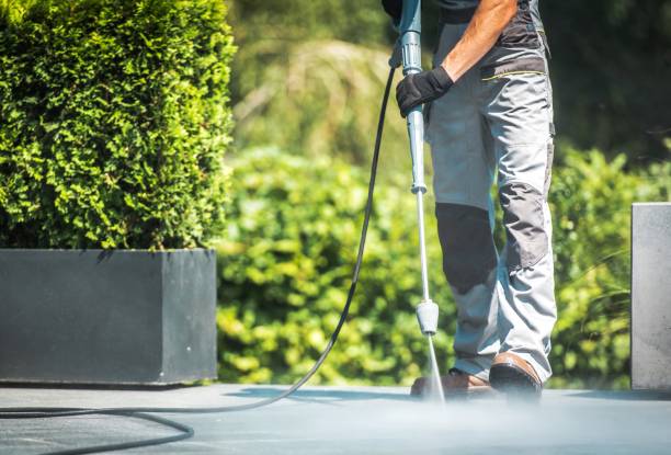 Best Sidewalk and Walkway Cleaning  in Mcgehee, AR